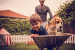 Boy and Dog in Wheelbarrow