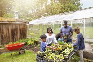 African-American family with three children working together at backyard plant nursery