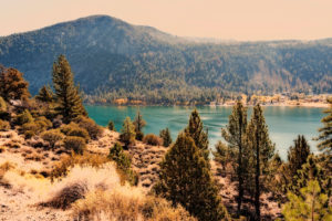 Northern California Landscape