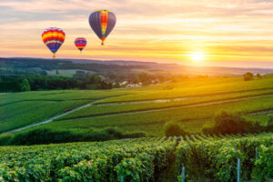 Colorful hot air balloons flying over vineyards