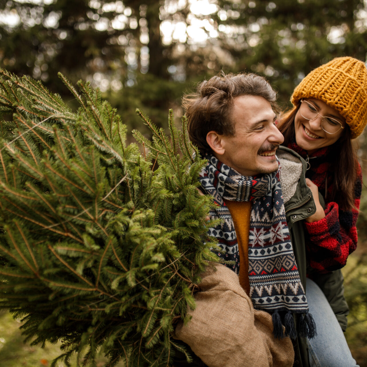 Young man carrying girlfriend and Christmas tree home on sunny winter day